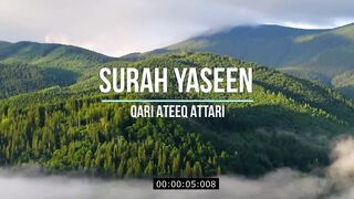 Sora Yaseen
