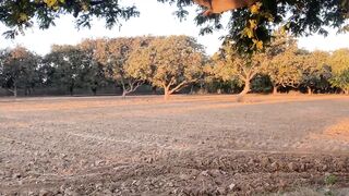Nature And Wildlife Video - Bird and animal is beautiful creature on our planet