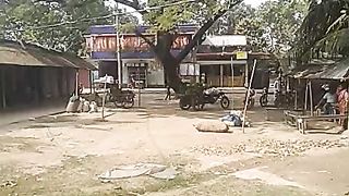 Our village Market