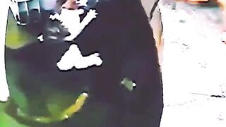 Dog saves other