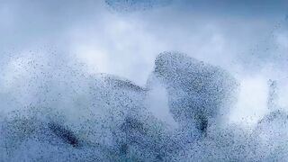 some incredible footage of murmurations in Sardina, Italy ????????