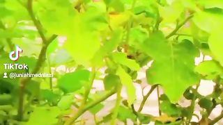 Beauty of Nature