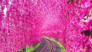 Magical Train tracks
