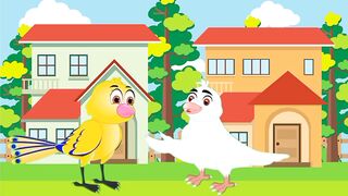Birds Animated video for kids|Entertaining the Kids