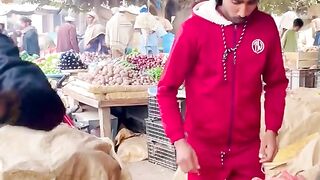Funny Video 2023