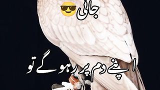 Best Poetry