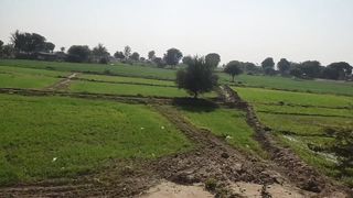 Gaon ki video