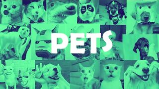 Funniest Cats and Dogs videos |Funny Animal videos 2023