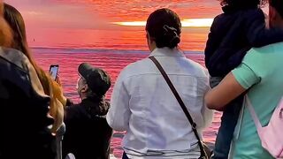 caught one of the most beautiful sunsets last year at Santa Monica Pier