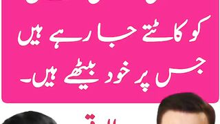 _راجہ پرویز اشرف اینڈ کمپنی اس شاخ کو کاٹتے