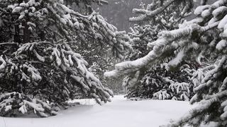Deep Sleep Relaxing Music.