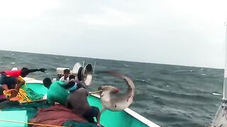 Fish video