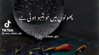 True LINES