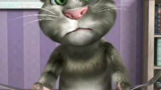 Tom cute cats