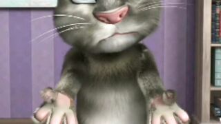 Funny cats
