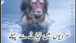 Funny Girls moment