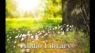 Summer — Next Route - Free Background Music - Audio Library