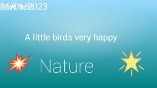 Good morning Birds 2023