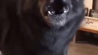 Джэк в шоке????????????,умора
