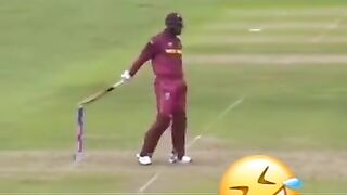 Funny videos cricket