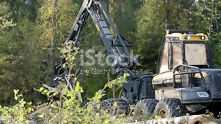 Harvester Machine Cutting