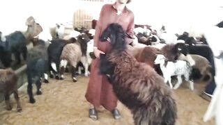 Dubai Bakra Mandi Full Vilog