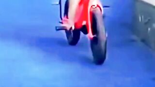 Funny Monkey Enjoy Cycling