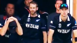 febspot.com cricket sad moment