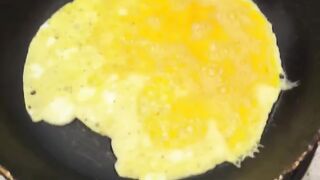 Omlette flipping