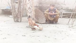Ihsanullah karyab new abvaice
