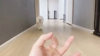 fun videos of 2023