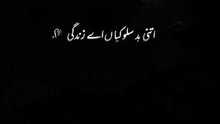 Whatsapp status