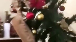 Funny animal try to not ???? laughing ????????