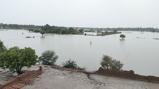Flood