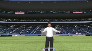 New cricket game