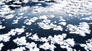 4k Nature View 2023 | Nature videography HD video