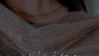Whatsapp status