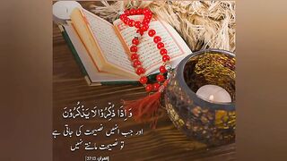 Best Quran Quotes