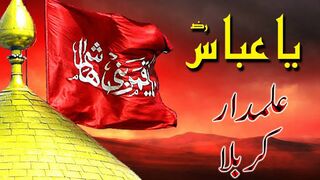 ya ghazi abbas alamdar madad kar muje karabala ke ziyarat ho