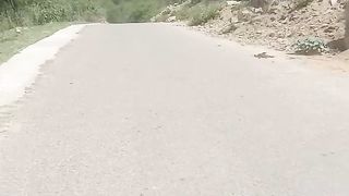 Wadi Kashmir