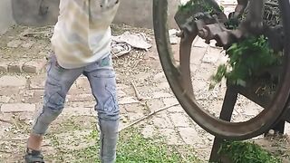 Village routine all day working in village punjab pakistan