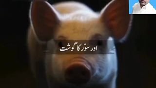 Allah pak ka hamare liye Kya hukam hai
