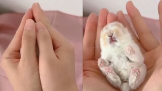 Creation of God | #viral #trending #cute