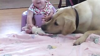 Baby playing with pet