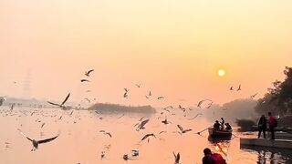 Beautiful Nature.