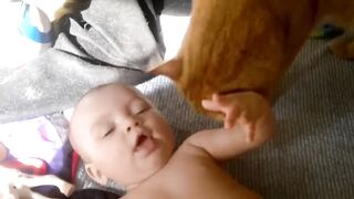 Cats Love Babies