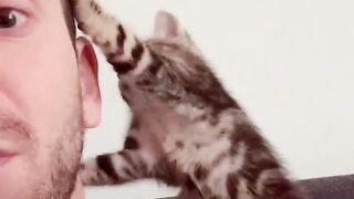Animal love