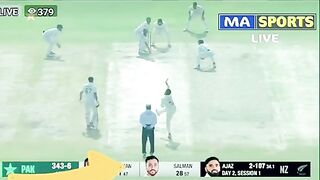 Cricket