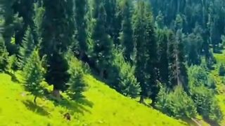 Most Beautiful Naran Kaghan Valley Road KPK