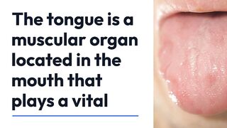 Tongue Definition For MBBS Student......